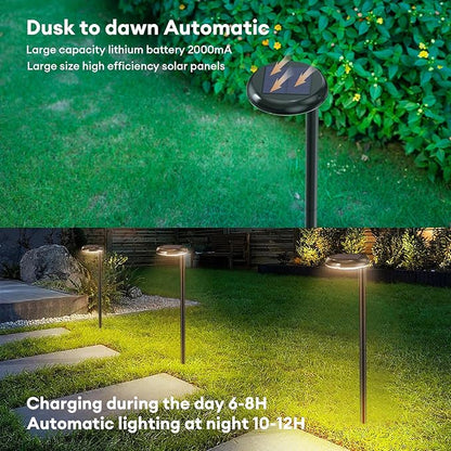 Solar Pathway Lights - Super Bright 300 Lumens with 2-in-1 Warm White & Daylight Color, Solar Path Lights for Pathway, Sidewalk, Driveway, Garden,Parterre etc,Landscape Lighting (6-Pack)