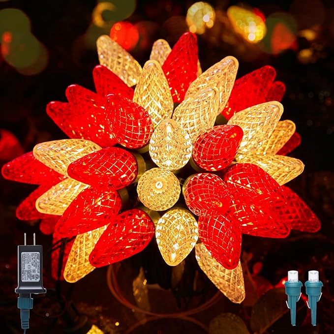 C9 LED Christmas Lights Outdoor, 81 Feet 100 LED String With Timer & 8 Light Mode, Waterproof Commercial Grade | Lumora