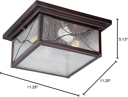 Nuvo Lighting 60/5616 Vega Flush One Light 60-watt Max Outdoor Close to Ceiling Porch and Patio Lighting with Clear Seeded Glass, Classic Bronze