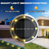 Peasur Solar Ground Lights Outdoor, 2 Pack Flat Solar Powered Disc Lights, IP68 Waterproof, Anti-Rust, Landscape | Lumora