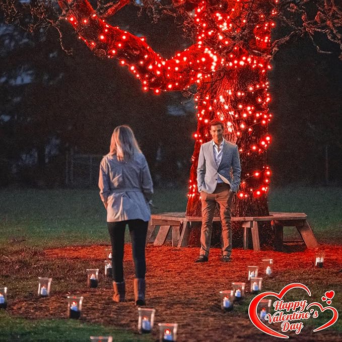 Red Christmas Lights Outdoor, 100FT 300 LED Christmas Tree Lights with 8 Modes Waterproof, Plug in Connectable String Twinkle Lights Green Wire for Indoor Patio Garden Xmas Holiday Decorations