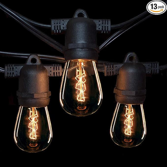 Hometown Evolution, Inc. E26 Commercial String Lights with 16 Gauge Wire (24 Foot 12 - Outdoor Security Flood Light | Lumora