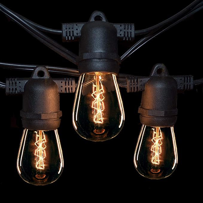 Hometown Evolution, Inc. 100' E26 Commercial Edison Bulb Outdoor String Lights (100 Foot 50 Socket, S14 Zig Zag | Lumora