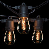 Hometown Evolution, Inc. 100' E26 Commercial Edison Bulb Outdoor String Lights (100 Foot 50 Socket, S14 Zig Zag | Lumora