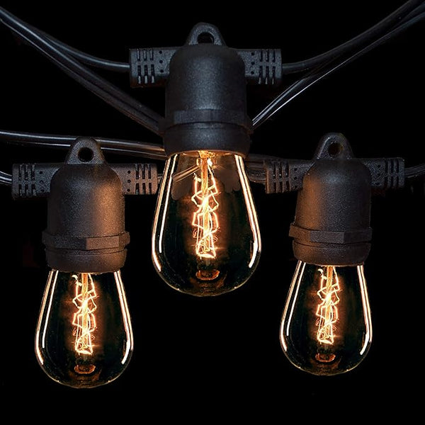 Hometown Evolution, Inc. 100' E26 Commercial Edison Bulb Outdoor String Lights (100 Foot 50 Socket, S14 Zig Zag | Lumora