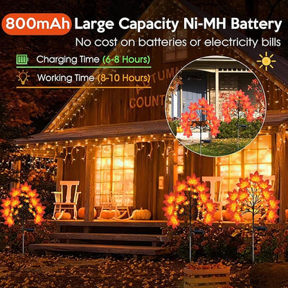 Fall Solar Lights Outdoor, Solar Powered Fall Stake Lights with 20 Maple Leaf and 20 Pumpkin for Yard, Patio, Lawn, Garden, House, Home Outside Thanksgiving Harvest Decorations(2 Pack)