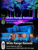 SUNVIE 12W Christmas Low Voltage Landscape Lighting RGB Color Changing LED Landscape Lights Remote Control | Lumora