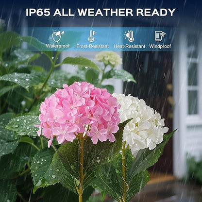2 Pack Solar Garden Lights Outdoor, LED Colorful Waterproof Solar Powered Hydrangea Flowers Landscape Lights for Patio, Outside Yard, Pathway Decorative, Décor, Two Lightning Modes