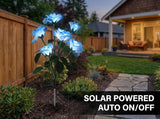 Solar Garden Rose Lights by FANCYPOP, 2 Pack Most Realistic 12 LED Flower Stake Lights, IP65 - Outdoor Path Light | Lumora