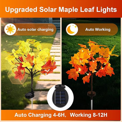 Fall Solar Lights Outdoor Decorative, 2Pack 40LED Solar Fall Lights Waterproof for Yard & Garden,Fall Outdoor Decorations for Yard, Maple Leaf Thanksgiving Halloween Christmas Grave Décor (2 Pack)