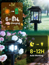 16-Pack Solar Lights Outdoor (Extra-Bright & Smart Auto On/Off), Solar Powered Garden Lights, Waterproof Solar | Lumora