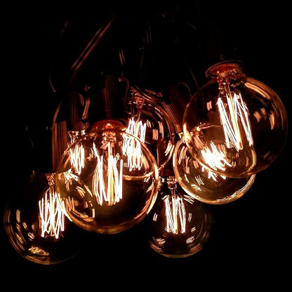 Hometown Evolution, Inc. Edison Bulb Outdoor String Lights with Hand-Threaded Filament (G60 Lantern Edison - Black Wire, 25 ft)
