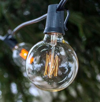Hometown Evolution, Inc. Edison Bulb Outdoor String Lights with Hand-Threaded Filament (G60 Lantern Edison - Black Wire, 100 ft)