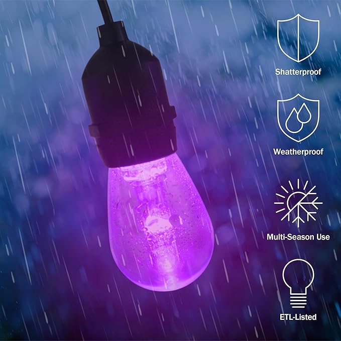 Outdoor String Lights - 50ft Color-Changing Patio Lights with Remote and Vintage-Style LED Edison Bulbs for Porch, Backyard, and Events by Pure Garden
