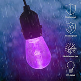 Outdoor String Lights - 50ft Color-Changing Patio Lights with Remote and Vintage-Style LED Edison Bulbs for Porch | Lumora