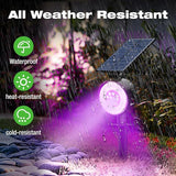 nipify 4 Pack Solar Spot Lights Outdoor Waterproof, Solar Spotlight Light for Outside Yard Landscape Lighting | Lumora