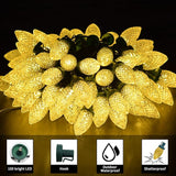 ZAIYW C9 Christmas Lights String, 66ft 100 LED Strawberry String Lights UL Plug C9 String Lights Green Wire | Lumora