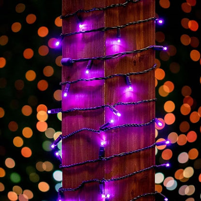 Novelty Lights 25ft Christmas String Lights, 50 Purple LED Bulbs on Black Wire, 6" Spacing, Connectable Indoor Outdoor Commercial Grade Lighting for Holidays Patio Weddings
