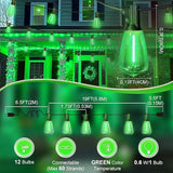 LAMPHOME 4-Pack 26Ft ST38 Green St Patrick's Day Patio Lights，Outdoor String Light with 12+1 Shatterproof LED | Lumora