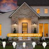 Bosceos 2-Pack Brown Wall Sconces, Farmhouse Exterior Barn Light Fixtures, Outdoor Wall Lights with E26 Socket | Lumora