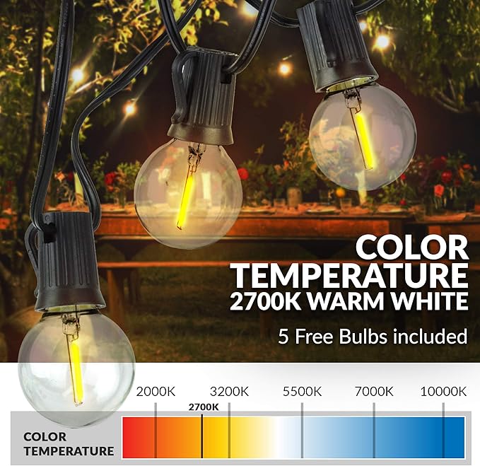 Newhouse Lighting PSTRINGLED50 Foot, 50 Socket Indoor/Outdoor String 55 LED Globe G40 (5 Free Bulbs Included) | Lumora