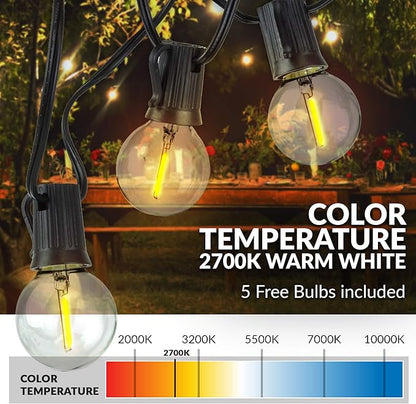 Newhouse Lighting PSTRINGLED50 Foot, 50 Socket Indoor/Outdoor String 55 LED Globe G40 (5 Free Bulbs Included), Wedding Lights, Decorations for Patios, Porches, Backyards, Decks, Bistros, 50ft