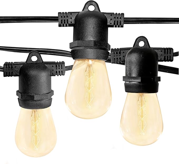 Hometown Evolution, Inc. 100' E26 Commercial Edison Bulb Outdoor String Lights (100 Foot 50 Socket, S14 Zig Zag | Lumora