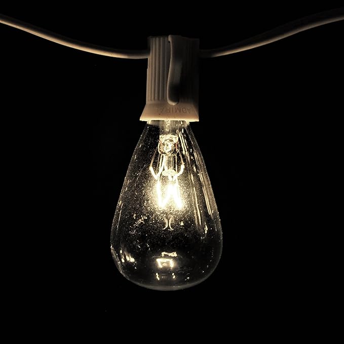 Hometown Evolution, Inc. Vintage Outdoor Patio String Lights with ST11 Clear Light Bulbs (White Wire, 10 ft)