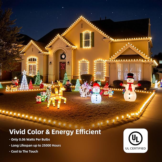 Moonflor C9 Christmas Lights Outdoor, Vintage Christmas String Lights 100FT 100LED Green Wire (Warm White)