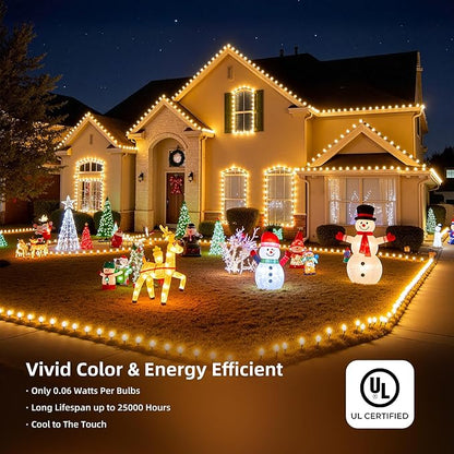 Moonflor C9 Christmas Lights Outdoor, Vintage Christmas String Lights 100FT 100LED Green Wire (Warm White)