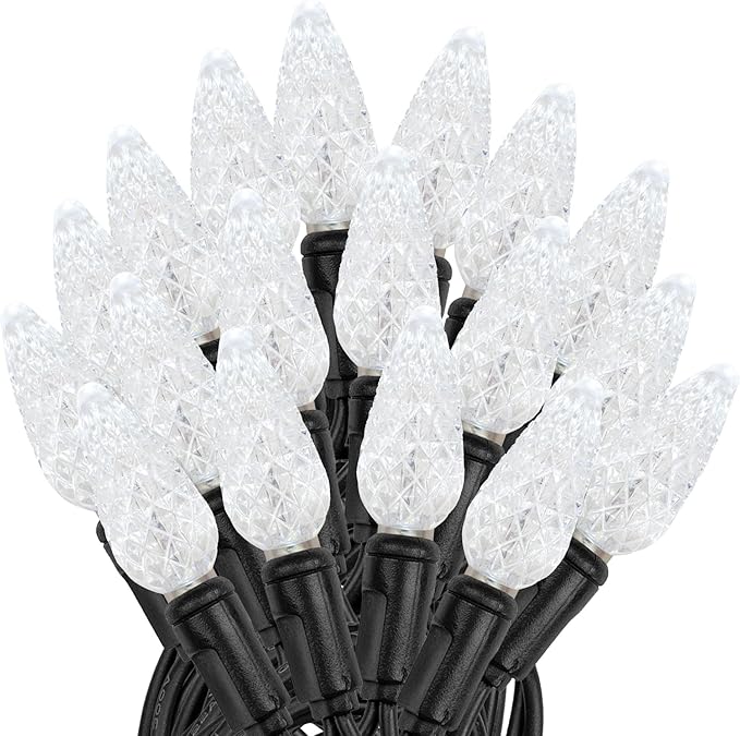 Novelty Lights 24FT 70 LED C6 Permanent Christmas Lights, Commercial Grade LED - Outdoor Security Flood Light | Lumora