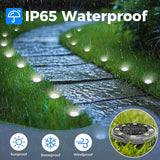 Peasur Mini Solar Ground Lights, 6 Pack Flat Solar Disc Lights Outdoor Waterproof, 2.3 Inch Small Solar Garden | Lumora