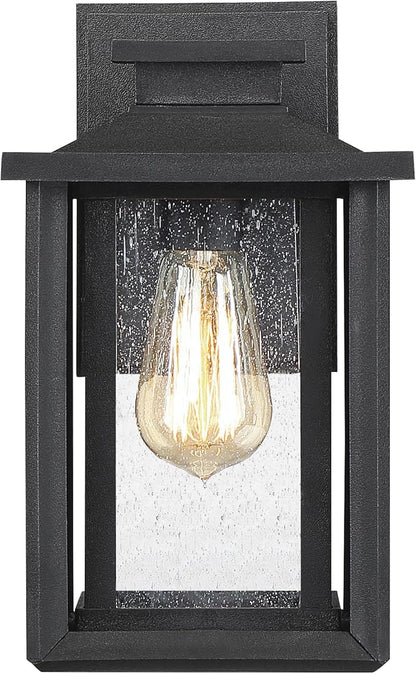 Quoizel Wakefield Vintage Wall Sconce, Coastal Armour 11 Inch 1-Light Earth Black Wall Lantern, Clear Seedy Glass Light Fixtures, 100W Medium Base Bulb, Outside Lights for Patio, Porch or Garage
