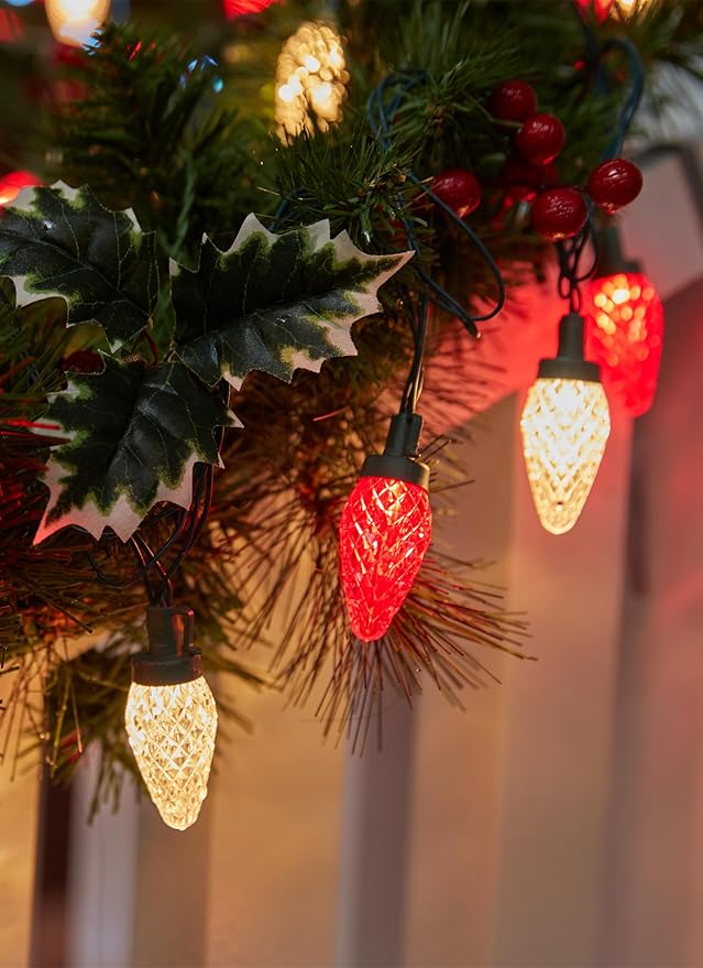 C9 LED Christmas Lights Outdoor, 81 Feet 100 LED String Lights with Timer & 8 Light Mode, Waterproof Commercial | Lumora