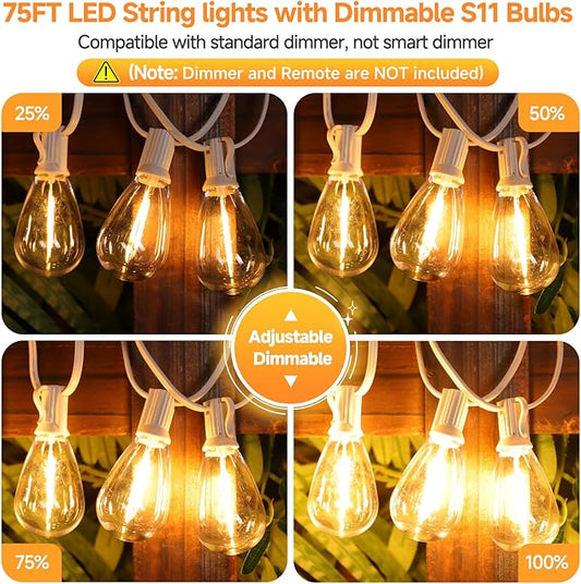 75FT LED Outdoor String Lights S11 Dimmable Patio Light, with 22+2 Waterproof Shatterproof Edison 2700K Bulbs for Porch Garden Wedding, White