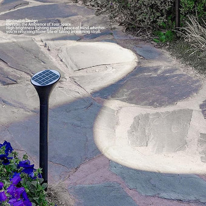 Diydeg Solar Pathway Lights, 8 Pack Bright Solar Powered Outdoor Lights with Polycrystalline Silicon Panel and Auto On Off, IP65 Water Proof for Garden Yard Walkway Driveway Decor (White Lighting)