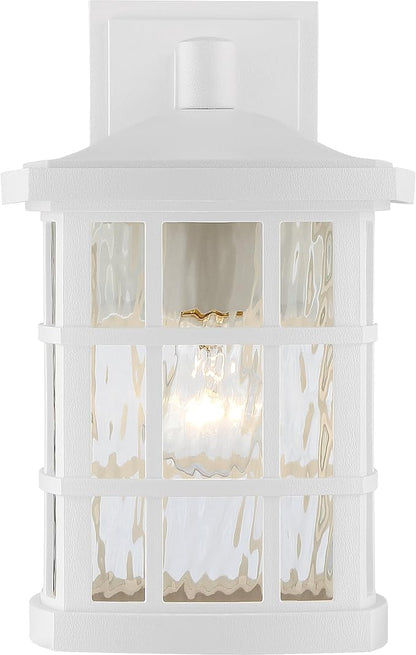 Quoizel Stonington Outdoor Wall Lantern, Coastal Armour 13 Inch 1-Light Matte White Vintage Wall Sconce, Clear Water Glass, 100W, Decorative Outside Lights for Patio, Porch, Garage or Yard