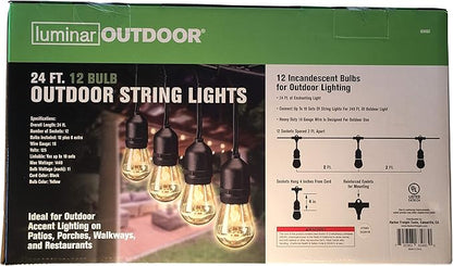 Outdoor String Lights by Luminar