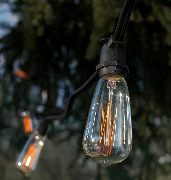 Hometown Evolution, Inc. Commercial Edison Bulb Outdoor String Lights with Hand-Threaded Filament (ST40 Lantern Edison - Commercial Black Wire, 25 ft)