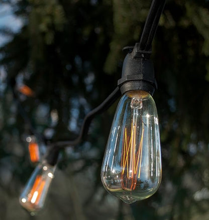 Hometown Evolution, Inc. Commercial Edison Bulb Outdoor String Lights with Hand-Threaded Filament (ST40 Lantern Edison - Commercial Black Wire, 25 ft)