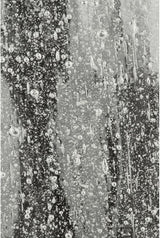 Progress Lighting Ashmore Collection 3-Light Water Seeded Glass New Traditional Outdoor Medium Wall Lantern Light | Lumora