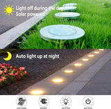 Solar Lights Outdoor Garden, IP65 Waterproof Outdoor LED Solar Pathway Lights - 8 Pieces Each with 8 LED Lights | Lumora