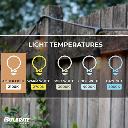 Bulbrite String15/E26-A19KT Outdoor-lightstrings, 48 Foot Black