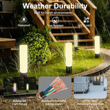 Outdoor Pathway Lights, Color Changing Walkway Lights, Waterproof Landscape Path Lights, APP/Control Box/Remote | Lumora