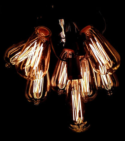 Hometown Evolution, Inc. Edison Bulb Outdoor String Lights with Hand-Threaded Filament (ST40 Lantern Edison - Black Wire, 10 ft)