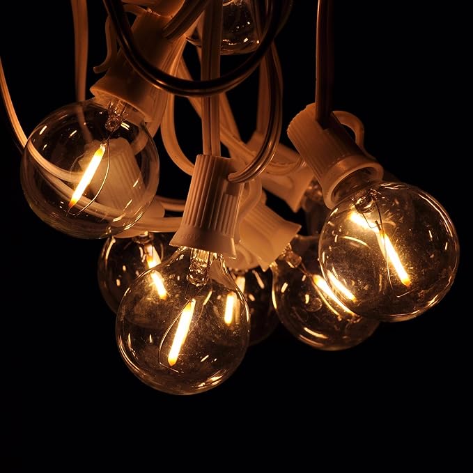 Hometown Evolution, Inc. G50 2" LED Filament Outdoor Patio String Lights with 0.6 Watt Light Bulbs (G50 LED - White Wire, 100 ft)
