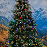 Novelty Lights 24FT 70 LED C6 LED Christmas String Lights, Outdoor/Indoor Multicolor LED String Lights, Permanent | Lumora