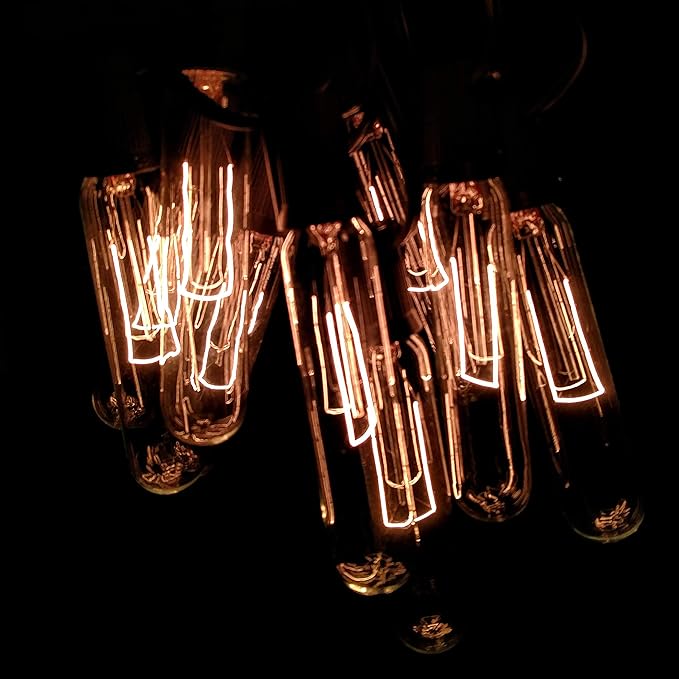 Hometown Evolution, Inc. Edison Bulb Outdoor String Lights with Hand-Threaded Filament (T25 Tube Edison - Black Wire, 100 ft)