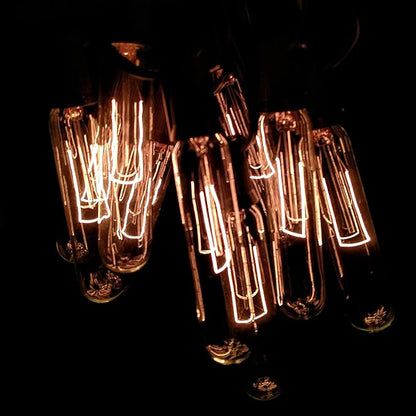 Hometown Evolution, Inc. Edison Bulb Outdoor String Lights with Hand-Threaded Filament (T25 Tube Edison - Black Wire, 100 ft)