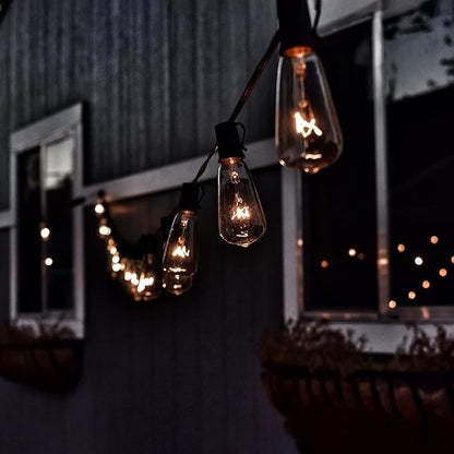 Northlight Edison Glass Indoor Outdoor Patio Light Set - Clear - 9' Green Wire - 10ct